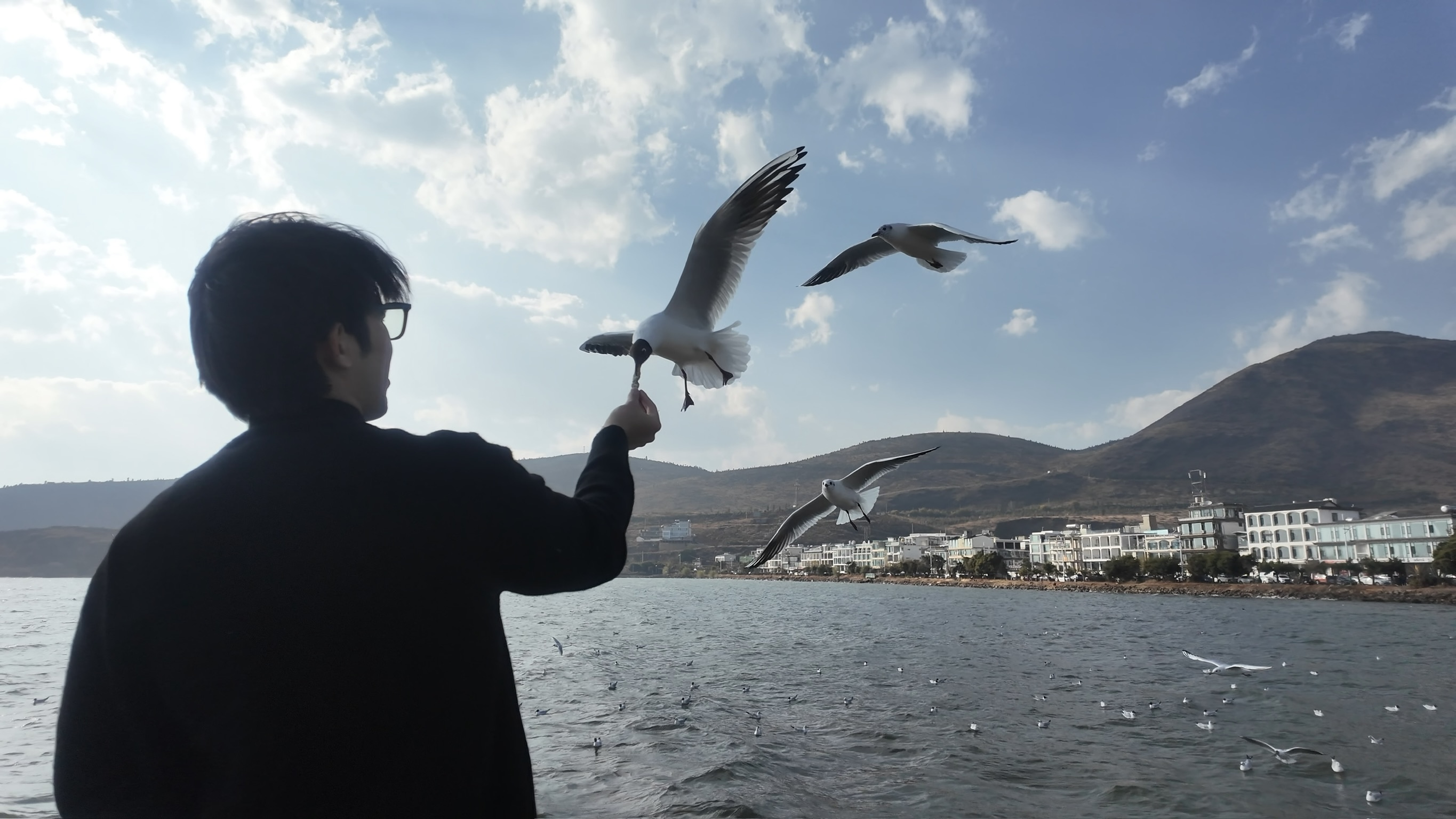 Carl Lei feeding seagulls by the sea
